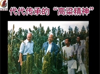 红高粱精神代代传