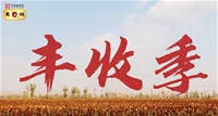 东湖高粱3