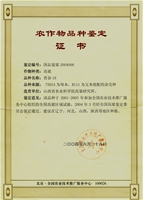 国鉴18号鉴定书