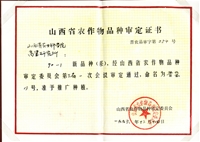 90-1新品种（系）