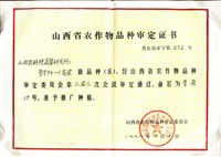 晋杂15号
