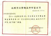 晋杂16号