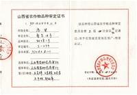 晋杂18号