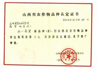 晋杂86-1