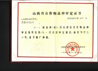 92-3