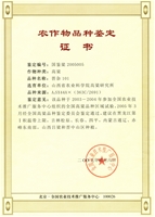 晋杂101