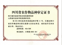泸糯8号（集体）
