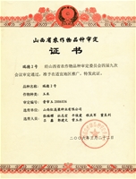 瑞德2号