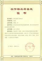 晋糯1号