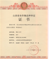 晋谷50个人