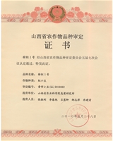 特红1号个人