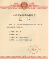特红1号集体