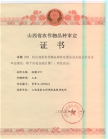 迪糯278审定集体