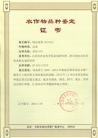 国审晋杂104证书