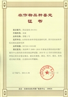 国审晋糯2号证书
