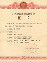 晋单78号个人