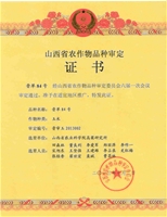 晋单84号个人