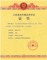 晋单84集体