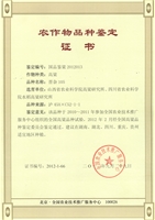 晋杂105号