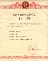 晋荞麦（苦）5号集体