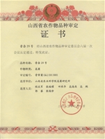 晋杂29号个人