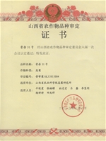 晋杂31号个人