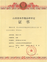晋杂32号个人