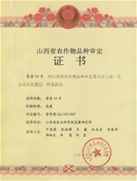 晋杂34号个人