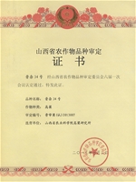 晋杂34号集体