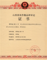晋荞麦（苦）5号集体