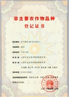 中尧1221