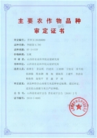 华耐甜玉782