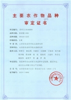 彩甜糯1958