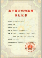晋杂106号
