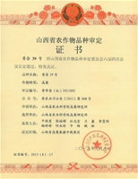 晋杂39号