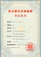 晋糯3号