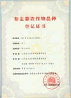 晋谷50