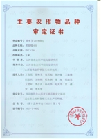黑甜糯639