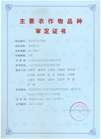 631审定证书