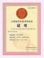 早熟玉米承包奖证书