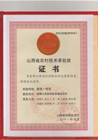 甜糯玉米承包奖