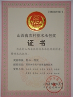 38号个人