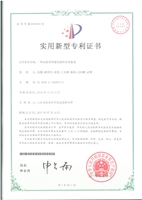 张微专利