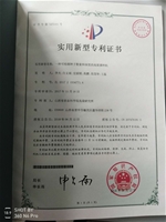 李光-一种可检测种子数量和深度的高粱播种机